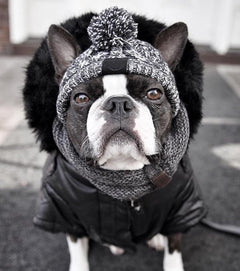 Autumn Winter Warm Knitted Pet Hats With Fluffy Ball